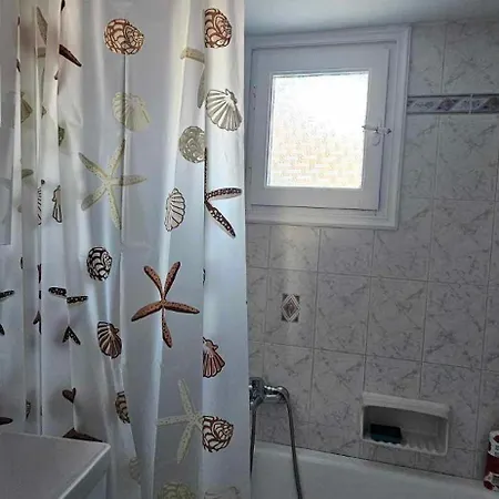 Nikola's House *