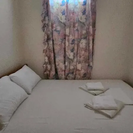 Nikola's House